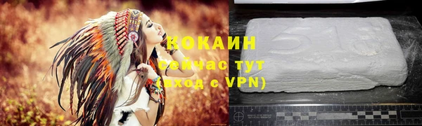 соль ск Алзамай