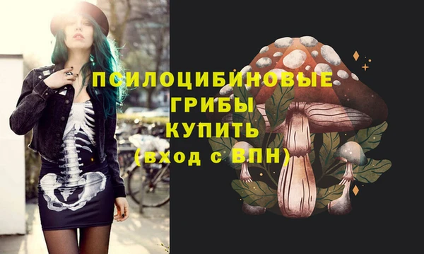 соль ск Алзамай