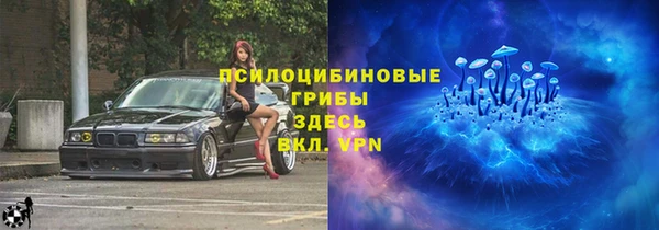 соль ск Алзамай