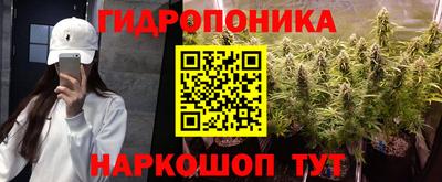 гидра Рыбинск