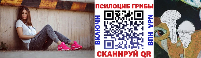 Галлюциногенные грибы Magic Shrooms Тара