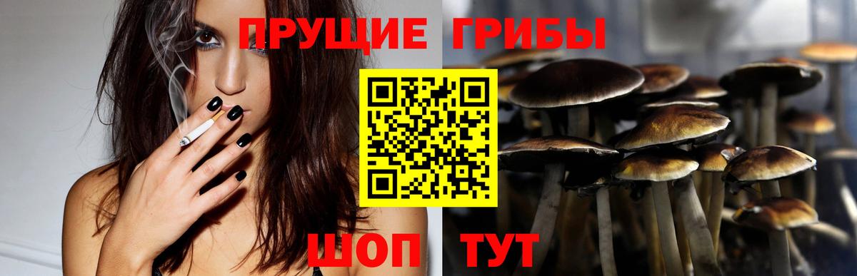 Галлюциногенные грибы мухоморы  где можно купить   Тара  Вход с VPN 